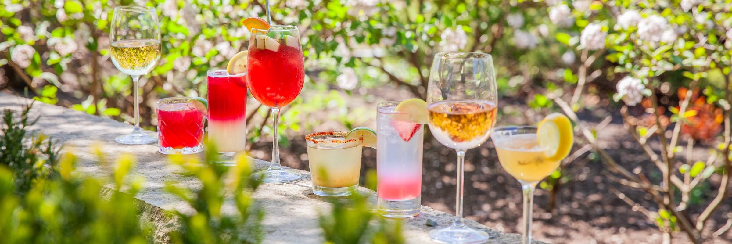 Drinks in a garden - Desktop